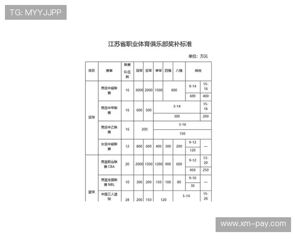 江苏省城市足球联赛冠军奖励政策解读与对地方体育发展意义探析