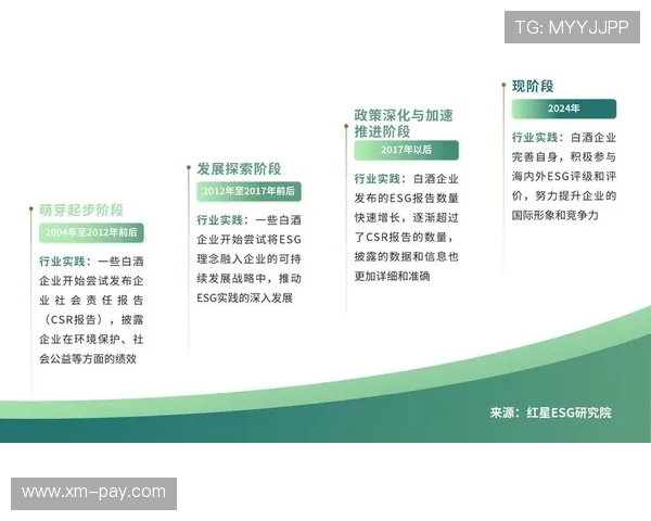 以西班牙人俱乐部崛起历程探寻球队未来发展路径解析全景视角研判 以西班牙人俱乐部崛起历程探寻球队未来发展路径解析全景视角研判